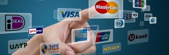 Website Design Company Payment Detail